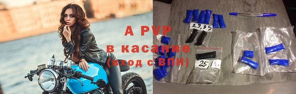 стафф Алзамай