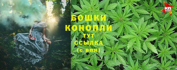 круглые Аркадак