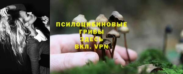 круглые Аркадак