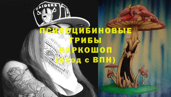 гидропоника Арсеньев