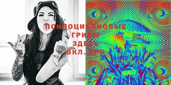 круглые Аркадак