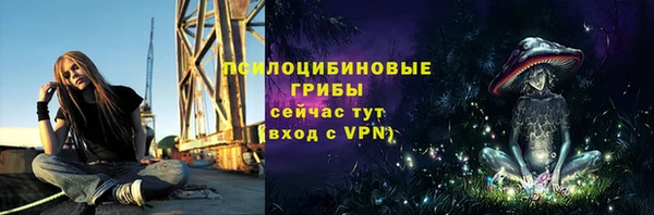 круглые Аркадак